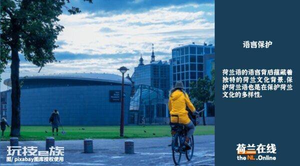 荷兰说什么语言(荷兰说什么母语及官方语言)-图片3
